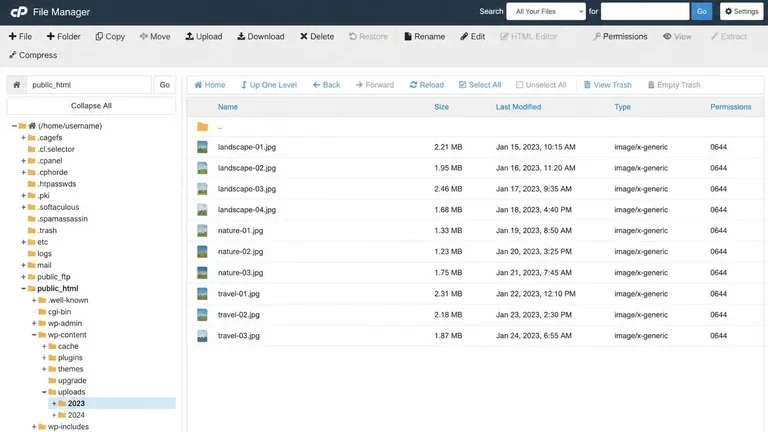 struktur folder wp-content uploads WordPress di File Manager hosting struktur folder wp-content uploads WordPress di File Manager hosting