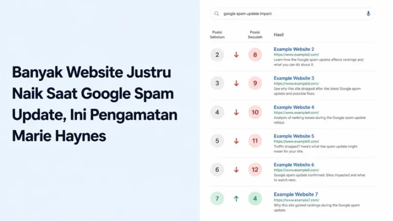 Banyak Website Justru Naik Saat Google Spam Update, Ini Pengamatan Marie Haynes